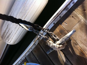 I'm sure Stainless chain looks good, too. 